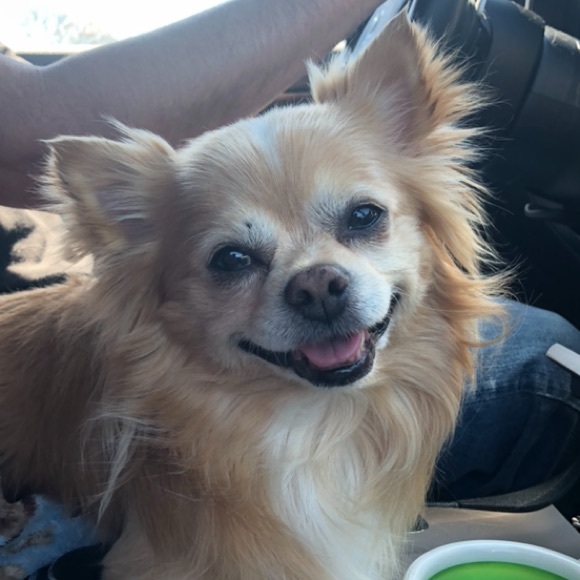 Meet your Posher, Audry - Picture 8 of 16